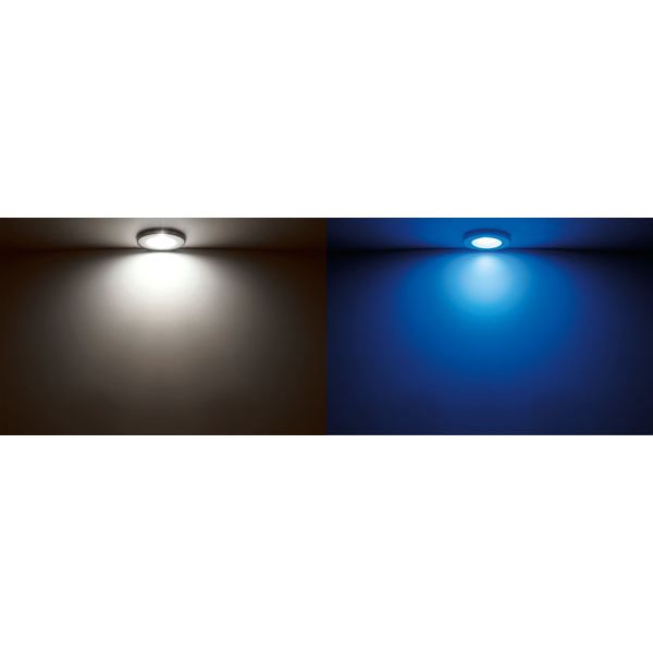 Quick Marine - Ted C Dual IP66 LED Downlight (Warm White/Red, 2+2W, 10/30V, White 9010) (FASP3352B1BCA00) — Quality Boat Parts