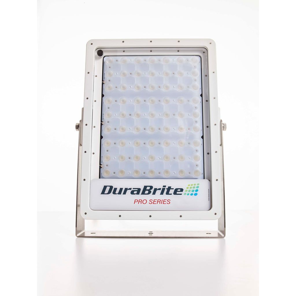 DuraBrite - Standard Series Amber Light - 12/24V, 35000Lm, IP67 — Quality Boat Parts