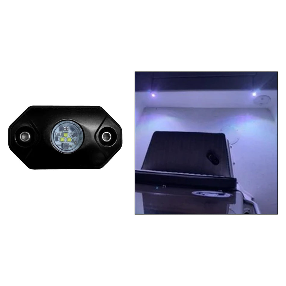 Black Oak - Rock Accent Light - White, Black Housing — Quality Boat Parts