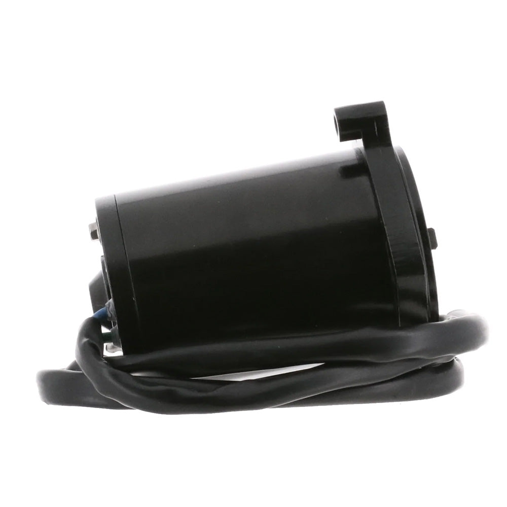 ARCO Marine Replacement Outboard Tilt Trim Motor - Late Model Mercury, 2-Wire 6250 — Quality Boat Parts