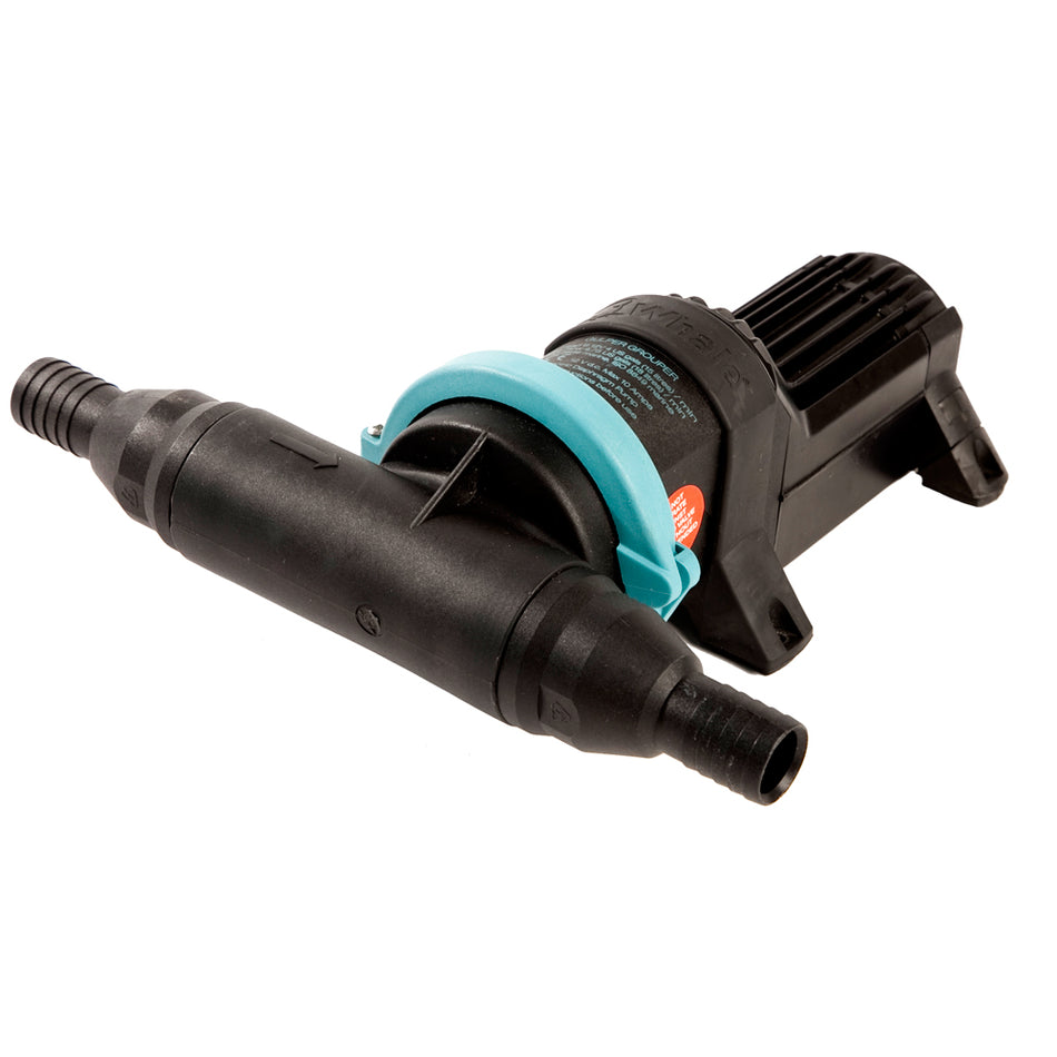 Whale Gulper Grouper Fishbox Evacuation Pump 12V BP4572 — Quality Boat Parts