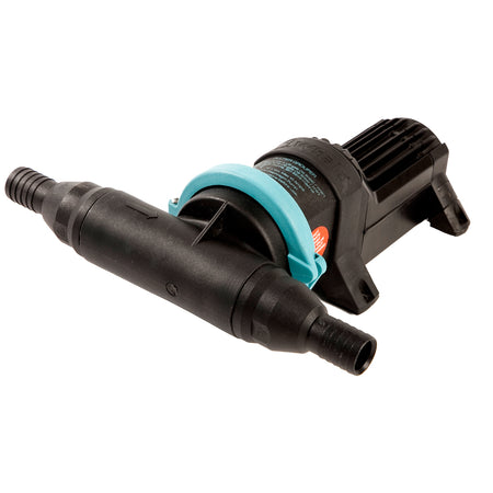 Whale Gulper Grouper Fishbox Evacuation Pump 24V BP4574 — Quality Boat Parts