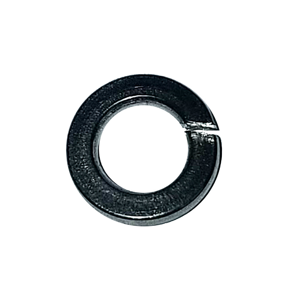 Maxwell Washer Spring - 6mm - 304 Stainless Steel SP0474 — Quality Boat Parts