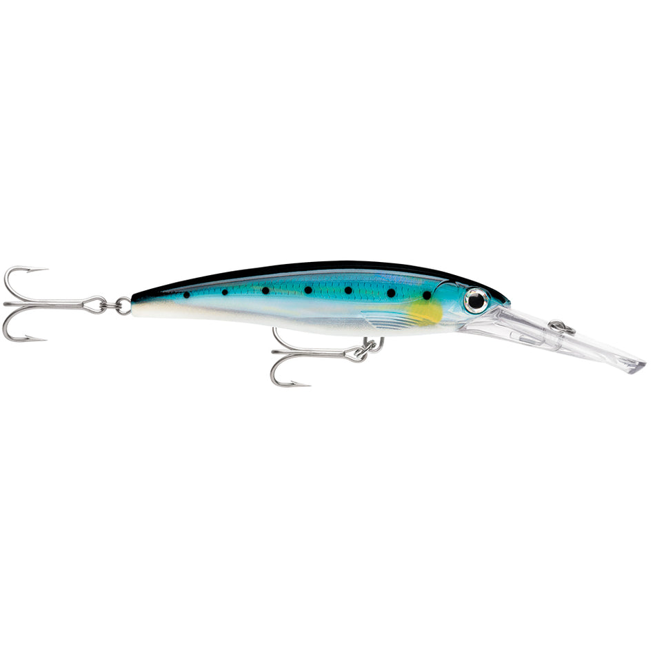 Rapala X-Rap® Magnum® 20 Sardine XRMAG20BSRD — Quality Boat Parts