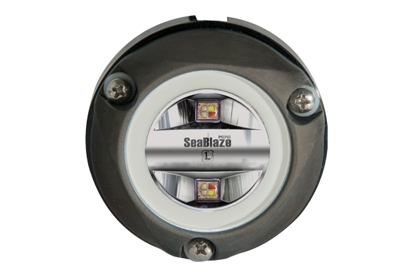 Lumitec Zambezi Mini Surface Mount LED Underwater Light, 10-30VDC, IP68 — Quality Boat Parts