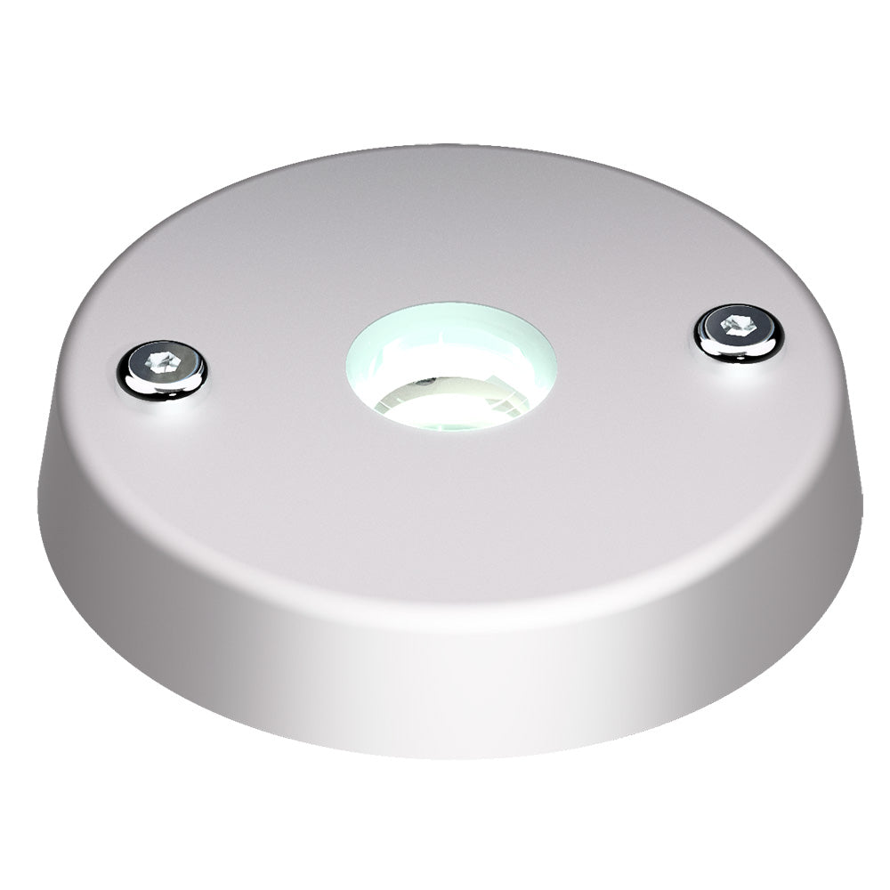 Lopolight Spreader Light, White/Red, Surface Mount, 12/24VDC, IP68 — Quality Boat Parts
