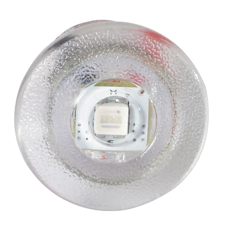 Lumitec Newt LED Livewell Light, 10-16V, IP67, 5/8in Hole Mount — Quality Boat Parts