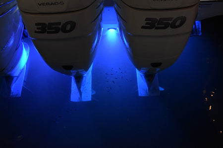 Lumitec SeaBlaze Mini LED Underwater Light, 10-30V, IP68 — Quality Boat Parts