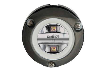 Lumitec Zambezi Mini Surface Mount LED Underwater Light, 10-30VDC, IP68 — Quality Boat Parts