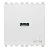 Vimar EIKON 2-Module USB-C Supply Unit, 120-240V, USB Power Delivery, Flush-Mounted, 1 USB-C Port — Quality Boat Parts