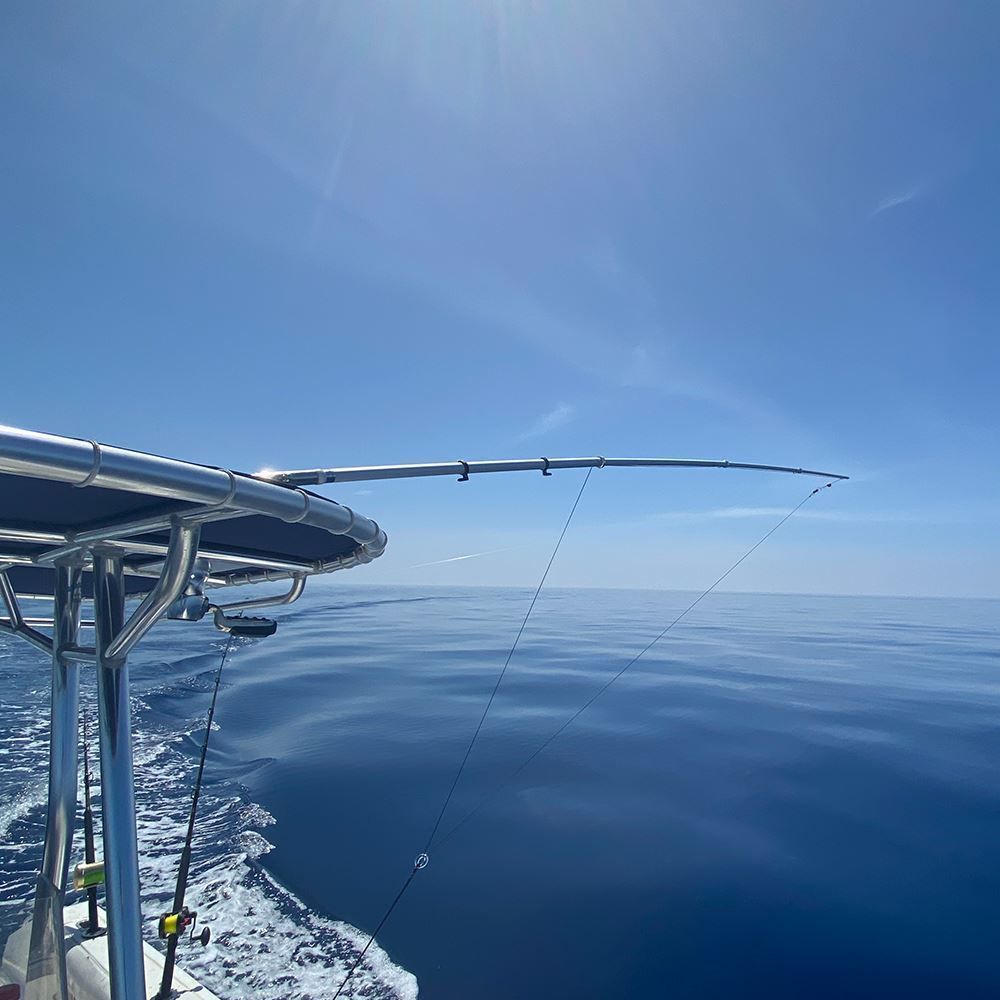 TACO Marine OT Series Aluminum Tele-Outrigger Poles, Pair, Pin-Locking — Quality Boat Parts
