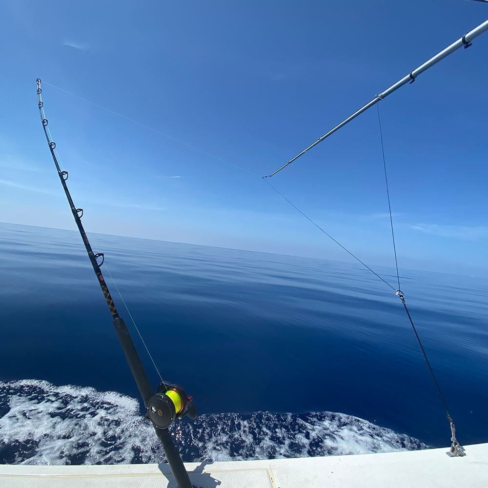 TACO Marine OT Series Aluminum Tele-Outrigger Poles, Pair, Pin-Locking — Quality Boat Parts