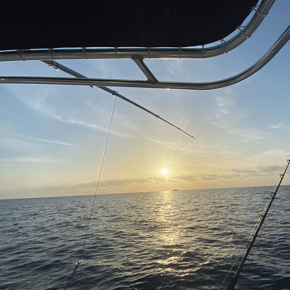 TACO Marine OT Series Aluminum Tele-Outrigger Poles, Pair, Pin-Locking — Quality Boat Parts